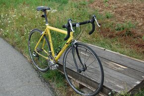 Silniční kolo Terry Dolan - 8