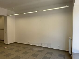 Pronájem nebytového prostoru 40 m² – Jírovcova ulice, České  - 8
