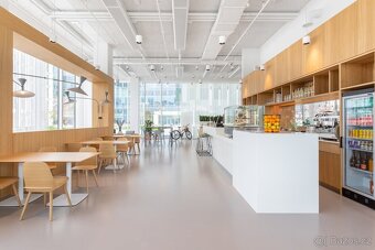 Pronájem kanceláře, 60 m2 - Praha - Nusle, ev.č. CZ4ws5246 - 8