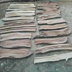 švestka fošny 4cm silné,vhodné do pryskyřice a na dekoraci - 8