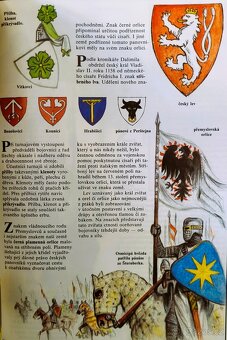 O středověku pro dětského čtenáře - 8