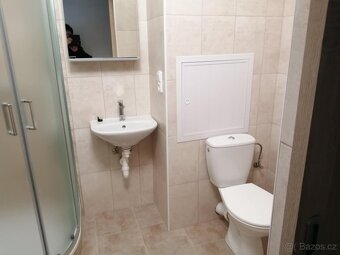 Pronájem bytu - 8
