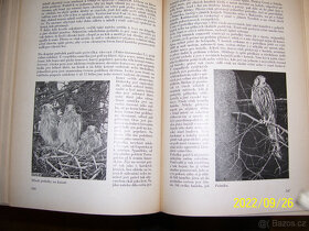 MALÝ BREHM-5 KNIH - 8