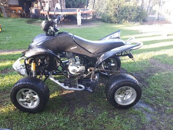Čtyřkolka SHINERAY XY 250 STIXE - 8