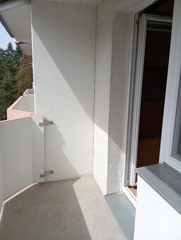 Tři 1.lůžkové pokoje v 3+1, studenti/ky, pračka, volné nyní - 8