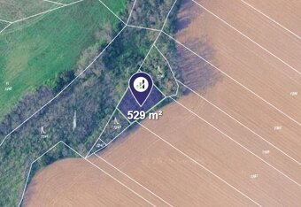 Prodej podílu 1/2 lesa 9 147 m², Ořechov - 8