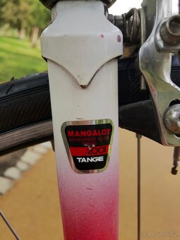 Silniční kolo Panasonic DX 3000 - 8