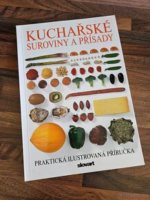 Velká česká kuchařka/Obrazová kuchařka/Rychlé pokrmy aj. - 8