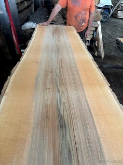 Jasanove rezivo -prkna 35mm - 8