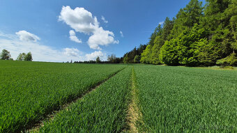 Prodej pozemku 5776 m2 v Borové u Poličky, okr. Svitavy - 8