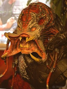 Berserker Predator busta 1/1 Sideshow_obří busta 84 cm - 8