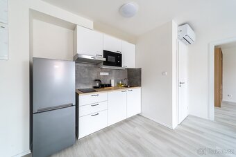 Стильна 2kk квартира в центрі Праги (Žižkov) - 8