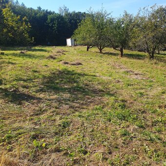 Prodám krásný pozemek za obcí Smolnice u Loun - 8