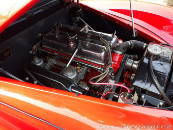 Healey Abbott - 8