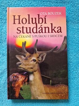 na čekané s puškou i srdcem - 8