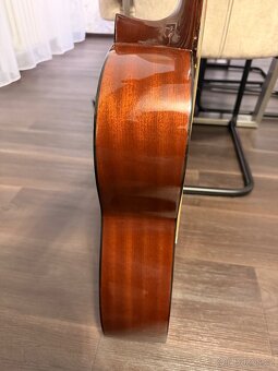 Kytara Höfner - 8