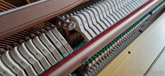 Piano Klug a Sperl - Bohemia - Světlé - Buk r. v. 2000 - 8