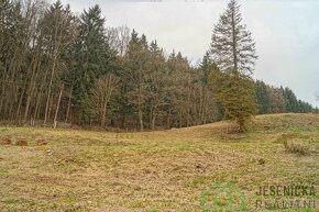 Pozemek u lesa s krásným výhledem na město Ústí nad Orlicí. - 8