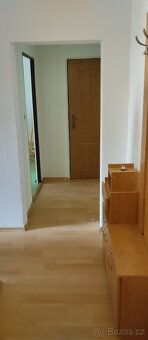 pronajem bytu 2+1 s Balkonem - 8