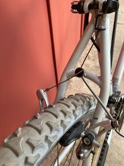 Bianchi XC 251 - 8
