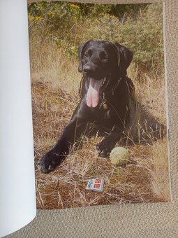 Z útulku až k moři - 8