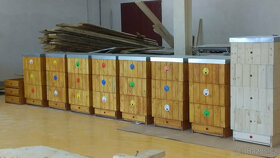 Včelí úly sestava - 8