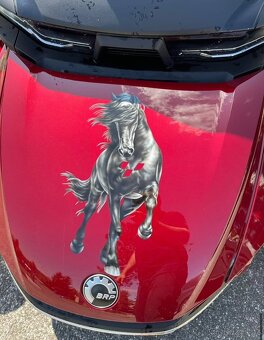 Can-Am Spyder RT 1330 LTD - 8