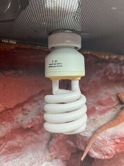 Prodám agamu+ všechny vybaveni. Rychlá koupe sleva 500 a vic - 8