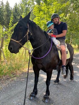 Pasování botek pro koně: - 8