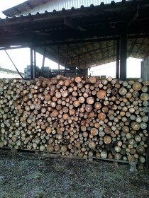 Palivové dřevo - měkké -- suché - 8