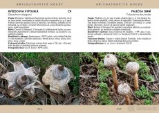 PAVEL ŠPINAR - VZÁCNÉ HOUBY TÁBORSKA - 8