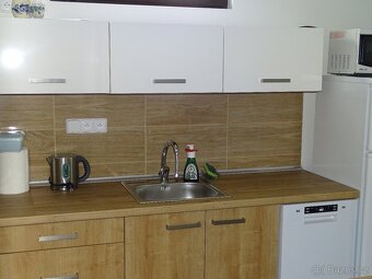 Pronájem rekreačního domku - 8