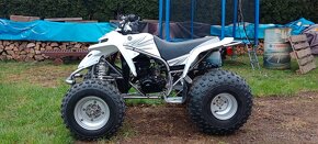 Yamaha YFS 200 Blaster - 8