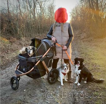 Kočárek pro psa do 23Kg PetBuggy - 8