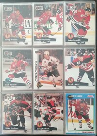 Sběratelské Hokejové karty Ultra Fleer 1995/96 - 8