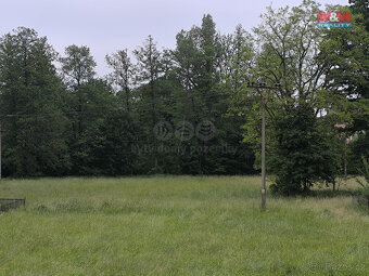 Prodej lesa, 20 128 m², Střelské Hoštice - 8