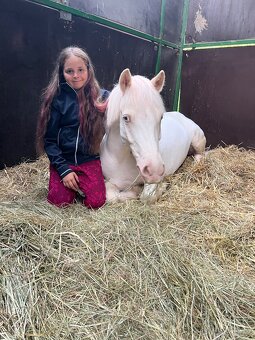 Prodám sportovního pony S - 8