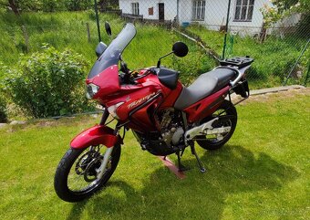 Honda Transalp XL 650V - 8