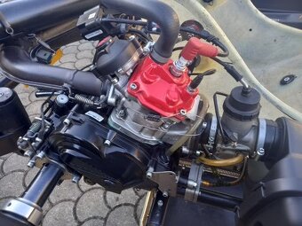 Motokára Sodi ROTAX 125 DD2 - 8