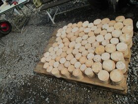 Odkrněný, neodkorněný kůl, tyč, palisáda - 8