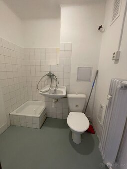 Byt 1+1 na krásném místě zděné jádro - 8