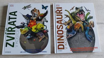 Zvířata a Dinosauři v kostce - 8