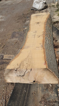 Jasanová fošna - blok na výrobu stolů - 8