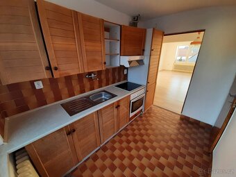Byt 1+1 (48 m2) s terasou (16 m2) k pronájmu Hříšice u Dačic - 8