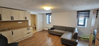 Apartmán s výhledem na Alpy - Svatý Tomáš - Lipno - 8