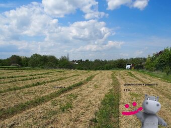 Prodej pozemku 2 330 m2 určeného pro výstavbu rodinného domu - 8