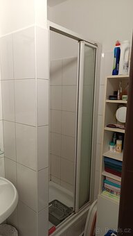 Pronájem bytu 1+kk - 8