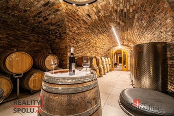 Prodej, komerční/ubytování, 202 m2, Čejč, Hodonín [ID 77709] - 8