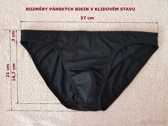 Pánské bikiny bez šňůrky a loga vel L / ORLOVÁ - 8