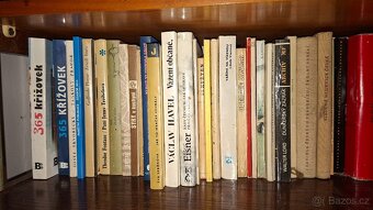 250 knih za symbolickou cenu - 8